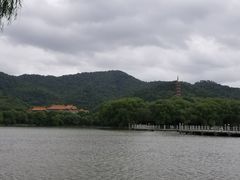 -天下玉苑