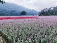 -广州市石门国家森林公园