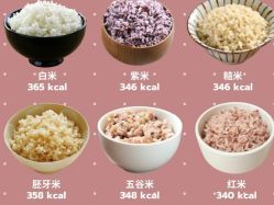 -Fundi张玉珊修身堂·indiba·BTL科技瘦身