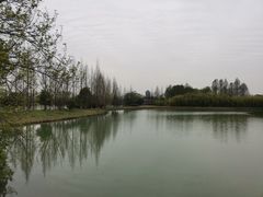 -苏州太湖国家湿地公园
