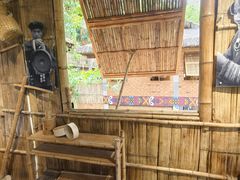 -西双版纳原始森林公园