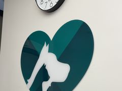 -瑞派康怡24h宠物医院·犬猫医疗中心·微创绝育(瑞景分院)