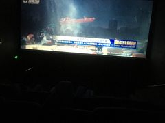 -幸福蓝海国际影城(苏州凤凰店)