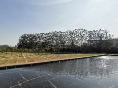 -汕头大学-图书馆