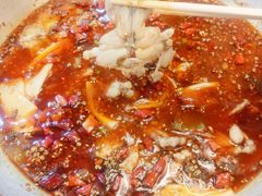 -靓蛙馆
