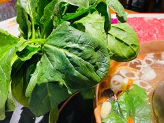 -南门四季铜锅涮肉(左家庄店)