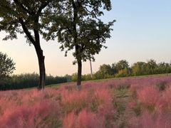 -汉长安城未央宫国家考古遗址公园