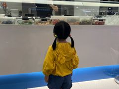 -CORNER CONE GELATO酷矿手作霜淇淋(南头古城店)