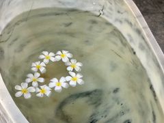 -100蛋泥浆浴
