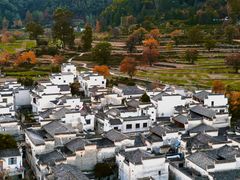 -塔川景区