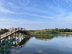 -白洋淀景区