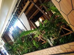 大堂-大头椰·椰子鸡火锅(南宁万象城店)