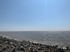 -奉贤海滩