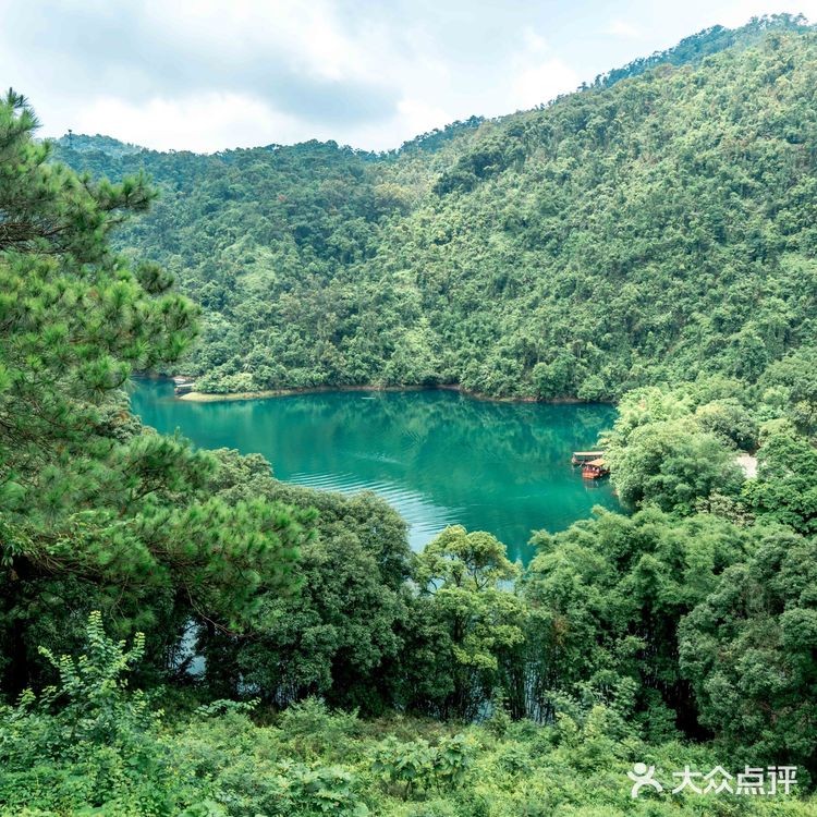 广东私藏绝美秘境｜肇庆鼎湖山旅游攻略