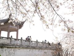-苏州上方山国家森林公园