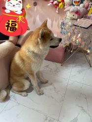 -JX今喜美甲美睫