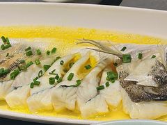 海鲈鱼-小绍兴家宴(鲁迅路店)