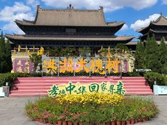 -大槐树寻根祭祖园