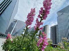 -凤凰湘语·湘粤鲜融(浦东旗舰店)