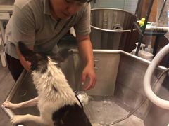 -PETKIT小佩宠物(古北店)