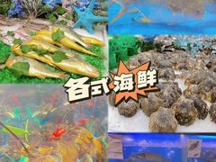 -盒马鲜生(曜一城店)