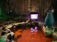 -森波拉火山温泉