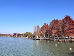 -阳澄湖费尔蒙酒店