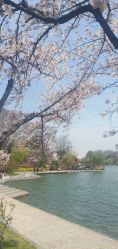 -玄武湖景区-情侣园游乐场