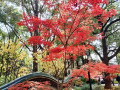 -申粤轩酒楼·三十年粤菜经典(丁香花园店)
