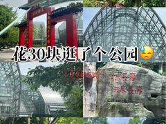 -南山植物园