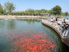 -星漠亲子餐厅•有机食材•儿童游乐