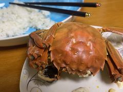 -水岸居湖景农家乐·阳澄湖大闸蟹