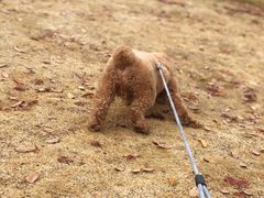 -钟山体育运动公园