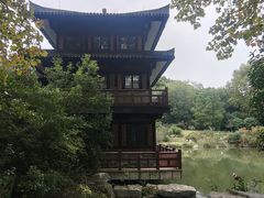 -习家池