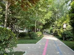 -唐城墙遗址公园