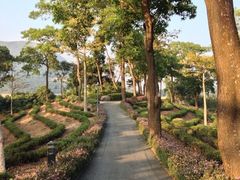 iphone_upload_pic-东部华侨城