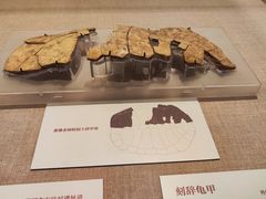 -北京大学赛克勒考古与艺术博物馆