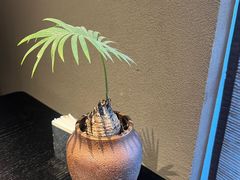 -苏帮袁·竹(北京坊店)