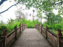 -桂湖森林公园