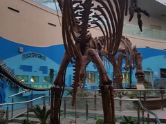 -陕西自然博物馆