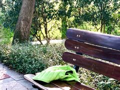 -徐家汇源景区-衡山公园