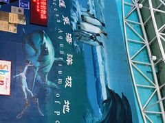 -蓬莱欧乐堡海洋极地世界