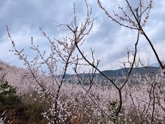-定都阁