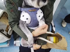 -北京赛佳动物医院