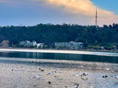 -洱海月湿地公园