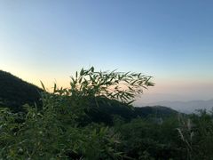 -东白山