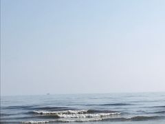 -大鹿岛