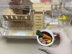 -双季花艺园艺市场(浦东店)