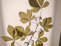 -予厘·推拿按摩·精油SPA(憩舍长安店)
