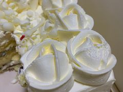 -BLACKSWAN黑天鹅(环球店)